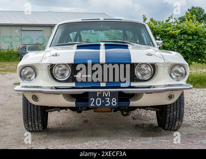 Lelystad, pays-Bas, 16.06.2024, vue de face de la classique Shelby Mustang GT 500 de 1967 lors de la Journée nationale du vieux chronomètre Banque D'Images