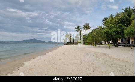 Une plage de sable tranquille bordée de palmiers oscillants et de maisons pittoresques le long du rivage, créant un coa paisible et idyllique Banque D'Images