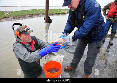 Sur cette photo, prise le 3 mars 2019, les enquêteurs du NTSB et un membre de l'équipe de récupération récupèrent l'enregistreur de données de vol du vol 3591 d'Atlas Air, un avion cargo Boeing 767-300, qui s’est écrasé dans le marais boueux de Trinity Bay 23 février 2019, à environ 30 miles de l’aéroport intercontinental George Bush de Houston. ANAHUAC, Texas - accident d'avion cargo 23 février 2019 sur cette photo, prise le 3 mars 2019, les enquêteurs du NTSB et un membre de l'équipe de récupération récupèrent l'enregistreur de données de vol du vol 3591 d'Atlas Air, un avion cargo Boeing 767-300, qui s'est écrasé dans le marais boueux de Trinity Ba Banque D'Images