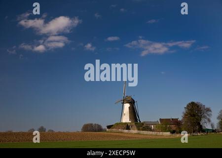 Moulin à vent historique de la tour Grottenherten, Bedburg, Bas-Rhin, Rhénanie du Nord-Westphalie, Allemagne, Europe Banque D'Images