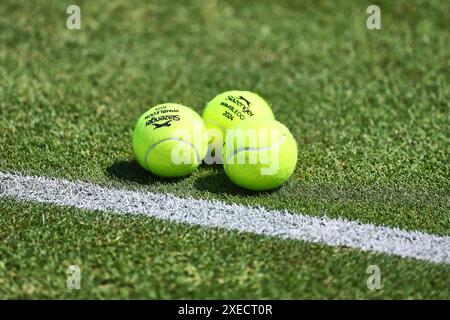 Bad Homburg, Hesse, Allemagne. 26 juin 2024. Impressions lors du BAD HOMBURG OPEN présenté par SOLARWATTT- WTA500 - Tennis féminin (crédit image : © Mathias Schulz/ZUMA Press Wire) USAGE ÉDITORIAL SEULEMENT! Non destiné à UN USAGE commercial ! Banque D'Images