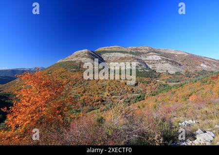 Paysage automnal, Prealpes d'Azur, Alpes-Maritimes, 06, côte d'Azur, PACA Banque D'Images