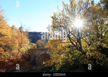 Paysage automnal, Prealpes d'Azur, Alpes-Maritimes, 06, côte d'Azur, PACA Banque D'Images