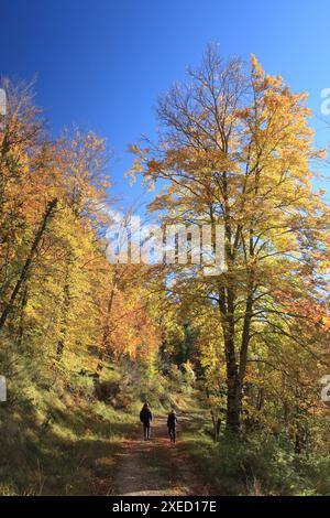 Paysage automnal, Prealpes d'Azur, Alpes-Maritimes, 06, côte d'Azur, PACA Banque D'Images