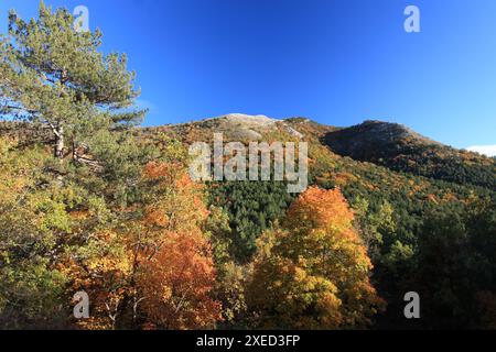 Paysage automnal, Prealpes d'Azur, Alpes-Maritimes, 06, côte d'Azur, PACA Banque D'Images