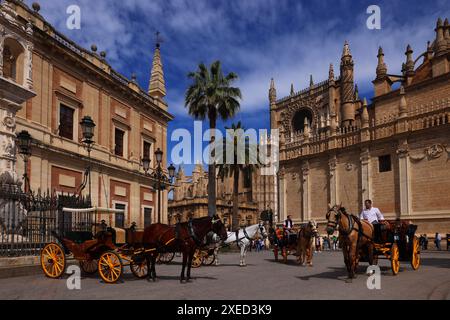 Kathedrale, Sevilla, Pferdekutsche, Andalusien, Spanien, Giralda, Sevilla Kirche, die Kathedrale von Sevilla ist die größte gotische Kirche der Welt Banque D'Images