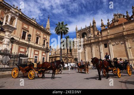 Kathedrale, Sevilla, Pferdekutsche, Andalusien, Spanien, Giralda, Sevilla Kirche, die Kathedrale von Sevilla ist die größte gotische Kirche der Welt Banque D'Images