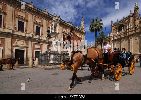 Kathedrale, Sevilla, Pferdekutsche, Andalusien, Spanien, Giralda, Sevilla Kirche, die Kathedrale von Sevilla ist die größte gotische Kirche der Welt Banque D'Images