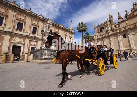 Kathedrale, Sevilla, Pferdekutsche, Andalusien, Spanien, Giralda, Sevilla Kirche, die Kathedrale von Sevilla ist die größte gotische Kirche der Welt Banque D'Images