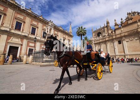 Kathedrale, Sevilla, Pferdekutsche, Andalusien, Spanien, Giralda, Sevilla Kirche, die Kathedrale von Sevilla ist die größte gotische Kirche der Welt Banque D'Images