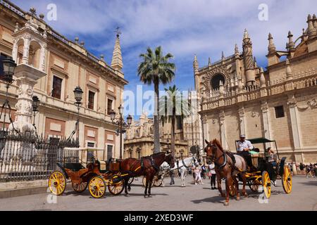 Kathedrale, Sevilla, Pferdekutsche, Andalusien, Spanien, Giralda, Sevilla Kirche, die Kathedrale von Sevilla ist die größte gotische Kirche der Welt Banque D'Images