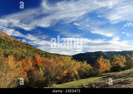 Paysage automnal, Prealpes d'Azur, Alpes-Maritimes, 06, côte d'Azur, PACA Banque D'Images