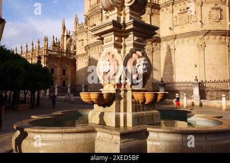 Kathedrale, Sevilla, Andalusien, Spanien, Giralda, Sevilla Kirche, die Kathedrale von Sevilla ist die größte gotische Kirche der Welt Banque D'Images