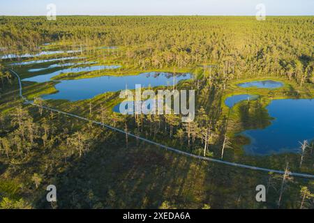 Estonien célèbre monument naturel local Viru marais, drone vue photo en été. Banque D'Images