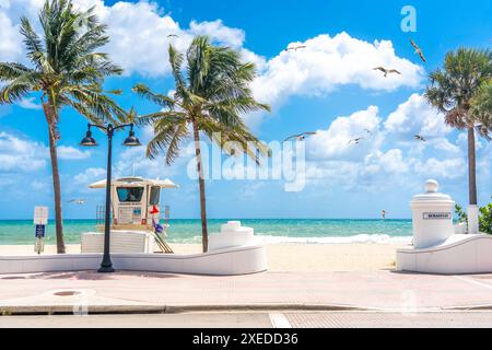 Promenade de plage en bord de mer avec des palmiers par une journée ensoleillée à Fort Lauderdale et mouettes Banque D'Images