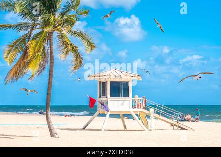 Promenade en bord de mer avec palmiers par une journée ensoleillée à fort Lauderdale avec mouettes Banque D'Images