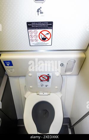 Cabine de toilettes étroite et siège dans la salle de bain du transporteur aérien Boeing 787-10. Commodités publiques et toilettes à bord de l'avion. Banque D'Images