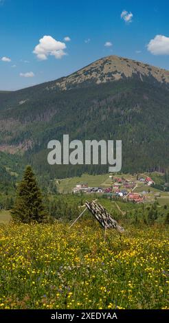 Vue du paysage des montagnes massives de Gorgany depuis la colline de Sevenei (près du col de Yablunytsia, Carpates, Ukraine.) Banque D'Images