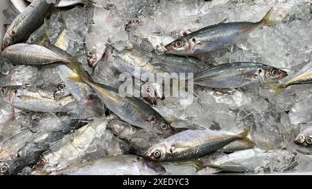 Vue de dessus du poisson frais couvert d'affichage de glace dans le marché humide. Concept de nourriture asiatique et de marché humide. Banque D'Images