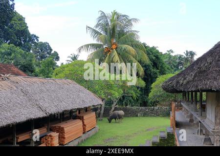 Village de Tenganan, habité par les premiers habitants de Bali près de Candidasa, Bali en Indonésie Banque D'Images