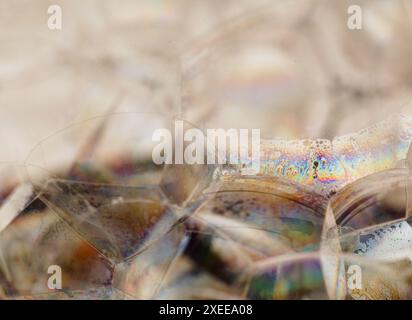 Fond abstrait avec une masse de bubles de savon avec des surfaces irisées Banque D'Images