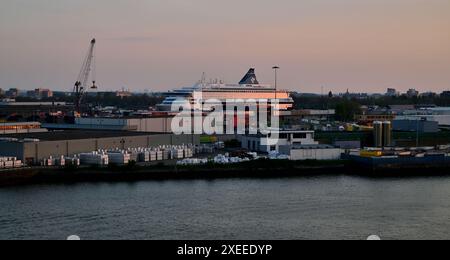 Tôt le matin, le soleil met en lumière le ferry de croisière MS Silja Europa amarré à Rotterdam. Banque D'Images