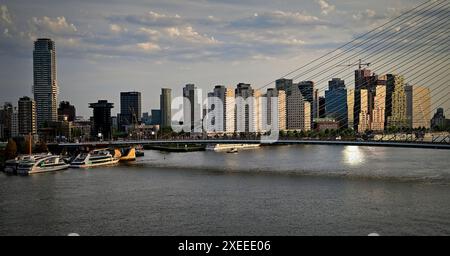 Lumière du soleil tôt le matin sur la rivière Nieue Meuse et le pont Erasmus dans le centre de Rotterdam. Banque D'Images