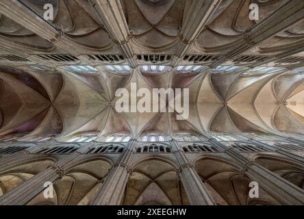 Vue vers le haut dans la magnifique cathédrale de Bourges de St Etienne, en France, classée au patrimoine mondial de l'UNESCO. Banque D'Images