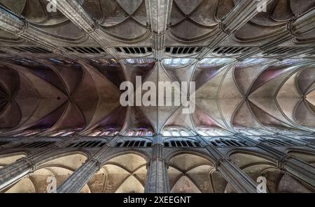 Vue vers le haut dans la magnifique cathédrale de Bourges de St Etienne, en France, classée au patrimoine mondial de l'UNESCO. Banque D'Images