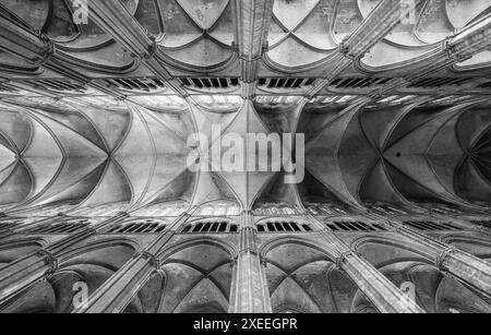 Vue vers le haut dans la magnifique cathédrale de Bourges de St Etienne, en France, classée au patrimoine mondial de l'UNESCO. Banque D'Images