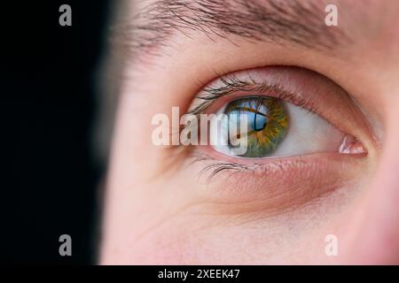 Macro Studio expression photo de Young Man's Eye avec gros plan sur les cils et la pupille Banque D'Images