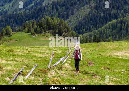 Sentier de randonnée du Filzmoosalm au Filzmoossattel à Grossarltal, vallée des alpages, Salzburger Almenweg. Marchez le long d'une clôture de pâturage qui a été érigée pour l'hiver. Filzmoosalm, Großarl, Salzbourg, Autriche Banque D'Images