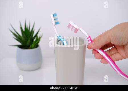 gros plan de brosses à dents dans un verre, fleur d'intérieur, concept de routine quotidienne, hygiène buccale, symbole des relations familiales Banque D'Images