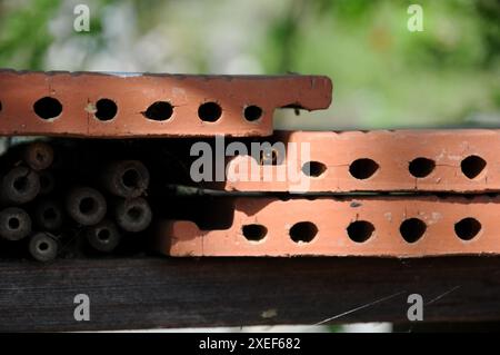 Nisthilfen mit Hummel, nestbox avec bourdon Banque D'Images