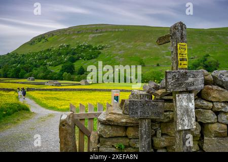 Pittoresques prairies de fleurs sauvages des hautes terres de Swaledale (panneau en bois dans un mur de pierres sèches, vieilles granges en pierre, fleurs de printemps sauvages) - Muker, Yorkshire Dales, Royaume-Uni. Banque D'Images