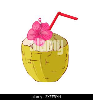 Noix de coco verte avec une paille rouge. Boisson tropicale exotique. Illustration dessinée à la main dans un style plat isolé sur fond blanc Banque D'Images