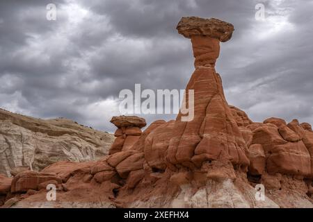 Toadstool Hoodoos, sud-est de l'Utah Banque D'Images