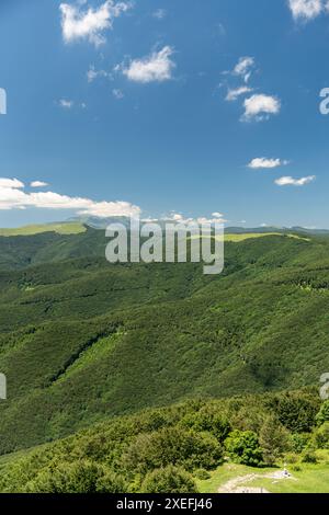 Beau paysage d'été d'une vaste forêt couvrant des collines ondulantes sous un ciel bleu avec des nuages Banque D'Images