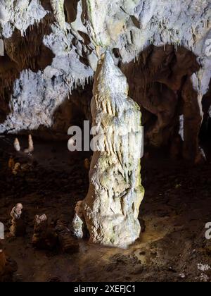 Grande stalagmite éclairée par la lumière électrique poussant sur le sol d'une grotte entourée de nombreuses stalagmites plus petites Banque D'Images