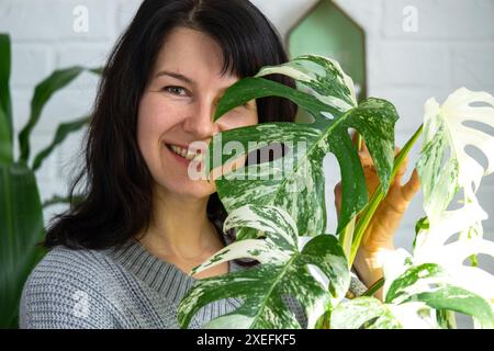 Femme tient la plante à la maison rare variegate monstera Alba dans le pot à l'intérieur de la maison. Banque D'Images