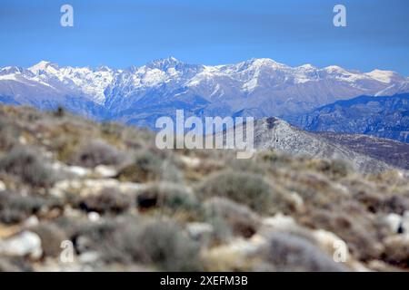 Vue de dessus depuis le sommet du Puy de Naouri avec la montagne enneigée du Mercantour en arrière-plan, Alpes Maritimes, 06 Banque D'Images