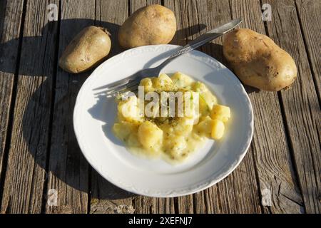 La pomme de terre, Solanum tuberosum Banque D'Images