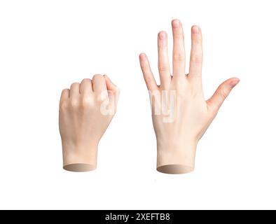 Gestes de la main, poing serré et paume ouverte. Doigts fermés et écartés, anatomie féminine réaliste. Vue dorsale. Différentes positions exprimant. Isolé Banque D'Images