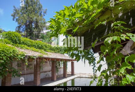 Bâtiment de blanchisserie à main ouverte d'Alange, Badajoz, Estrémadure, Espagne. Bâtiments de service historiques Banque D'Images