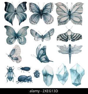 Un ensemble sur le thème des papillons et des insectes peints à l'aquarelle sur un fond blanc. La palette de couleurs est monochrome dans une nuance d'indigo. Idéal Banque D'Images