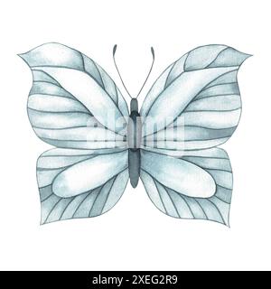 Un ensemble sur le thème des papillons et des insectes peints à l'aquarelle sur un fond blanc. La palette de couleurs est monochrome dans une nuance d'indigo. Idéal Banque D'Images