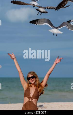 Seaside Serenity : une belle évasion avec des mouettes et des collations Banque D'Images