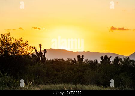 Vue panoramique d'un coucher de soleil sur le Cerro de las Mitras à Monterrey, Mexique. Banque D'Images