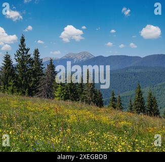 Vue du paysage des montagnes massives de Gorgany depuis la colline de Sevenei (près du col de Yablunytsia, Carpates, Ukraine.) Banque D'Images