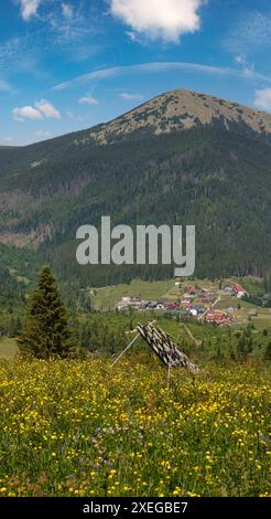 Vue du paysage des montagnes massives de Gorgany depuis la colline de Sevenei (près du col de Yablunytsia, Carpates, Ukraine.) Banque D'Images